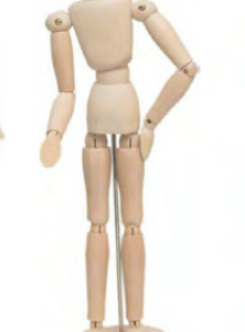 MANIKIN MALE 12" 616.018-7872