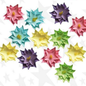 CREATIV craft natur cvetići 137602-12793