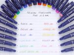 Pilot fineliner Frixion SW-FF-60 black-57390