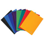 Exacompta fascikla A4 10 PVC U 8510E