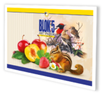 Blok 5 21013 - Slika 11