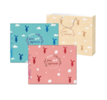 Foto-memo Baby Diary 303.800 girl