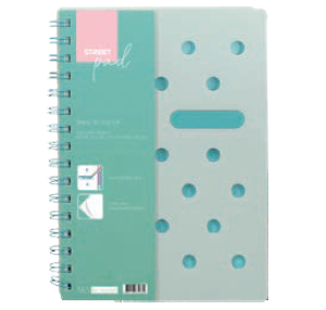 Sveska-Notebook Green A4 SP dikto 672.500