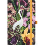 Notes Fastelli Oasis 53594