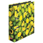HERLITZ registrator A4 New 10485134 Lime