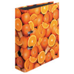 HERLITZ registrator A4 New 10626190 Orange